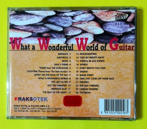 What A Wonderful World Of Guitar - Görsel 2