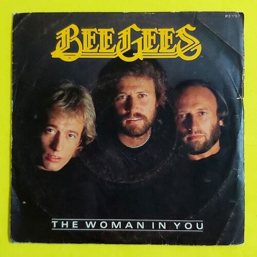 Bee Gees - The Woman In You