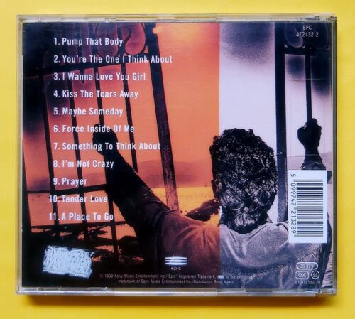 Stevie B – Healing - Görsel 2